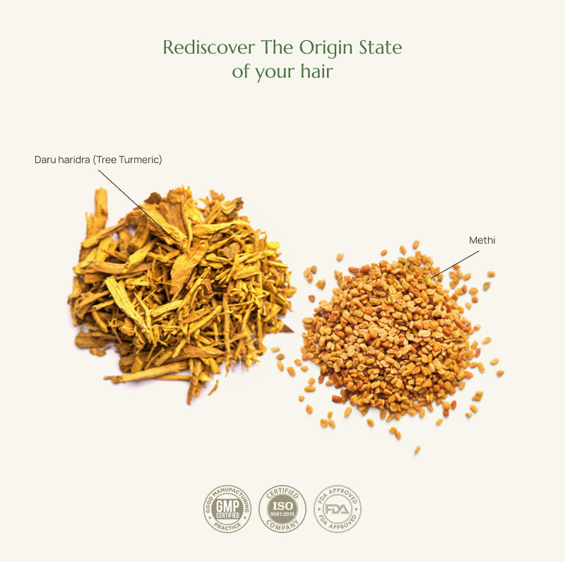 Purify - Natural Hair Cleanser