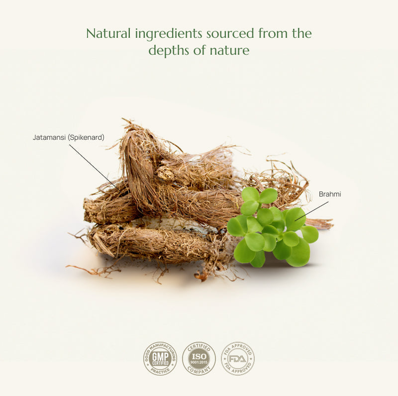 Nourish - Slow Infused Hair Oil